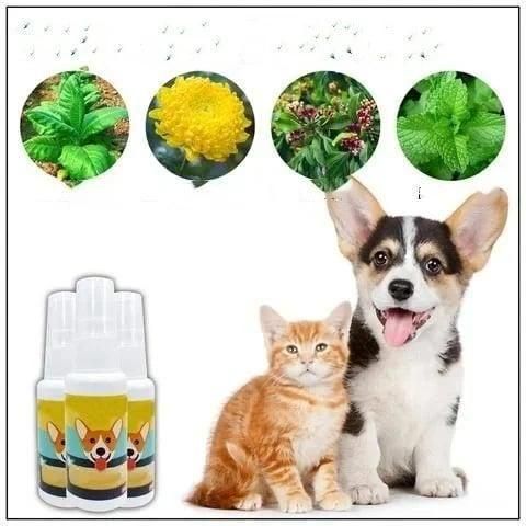 Potty training spray for Dog & Cat (Pack of 2)
